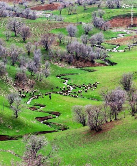 روستای سر مرغ در استان لرستان و در فاصله ۱۵ کیلومتری شهرستان خرم آباد