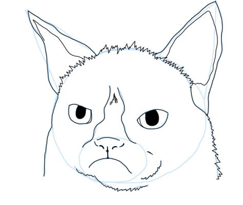 Drawing Tutorial Learn To Draw Grumpy Cat Aka Tardar Sauce