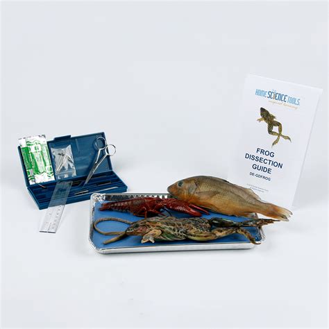 Apologia Biology Dissection Lab Kit Homeschool Dissection Kit