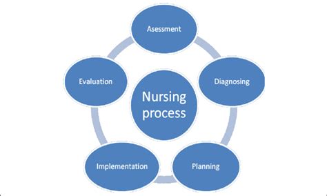 What Is The Nursing Process Slide Share