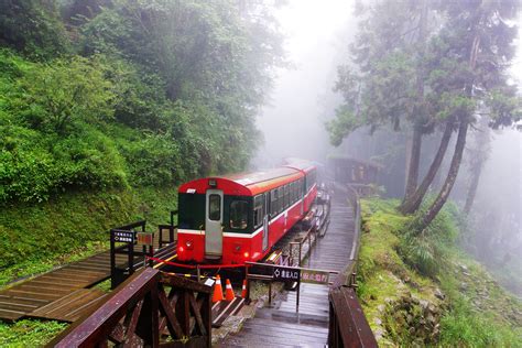 Alishan Mountain Taiwan Photo Gallery