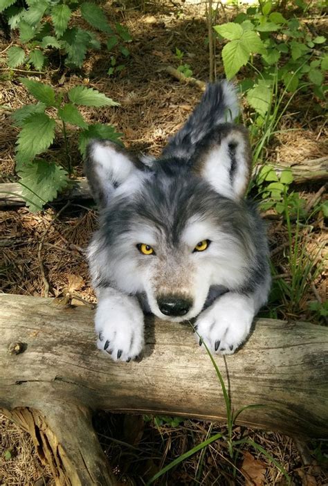 Realistic Plush Wolf Pet Portrait Plush Collectible Pet Toy Etsy