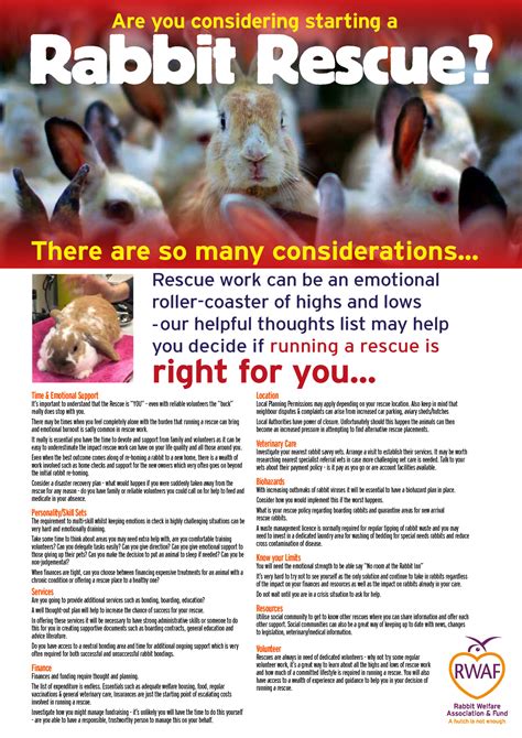 owner resources rabbit welfare association and fund rwaf