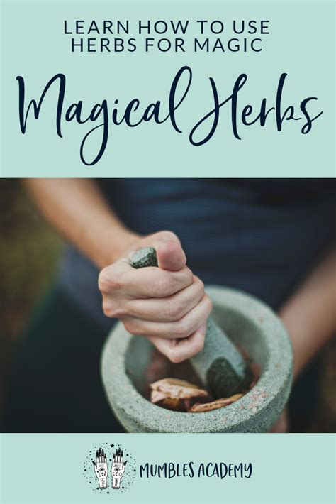 How To Use Magical Herbs — Mumbles And Things Magical Herbs Magic