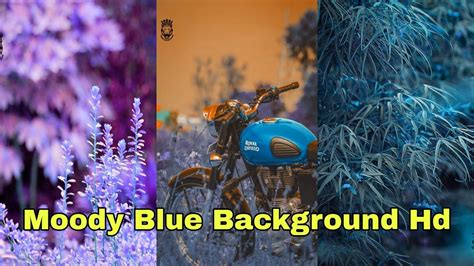 111 Blue Background Hd For Editing Moody Blue Photo Editing Background Images In 2020 Light
