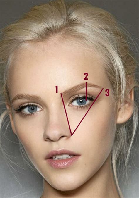How To Create The Perfect Brows Vanilla Extract Blonde Eyebrows