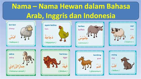 Nama Nama Hewan Dalam Bahasa Arab Inggris Dan Indonesia Terlengkap Riset