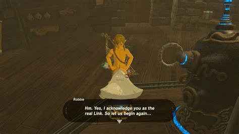 Wtf Legend Of Zelda Breath Of The Wild Greatful