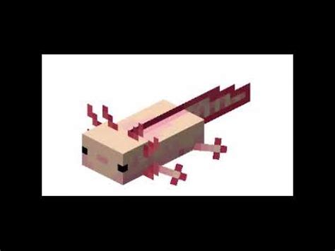 Скин пользователя с ником axolotl. Minecraft Pet the axolotl 😳 - YouTube