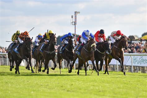 Must See Kempton Park Racecourse Events In 2023