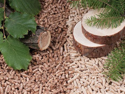 Топливные древесные гранулы, пеллеты a1 пелети пелета pellets гранула. Differences Between Hard Wood Pellets and Soft Wood ...