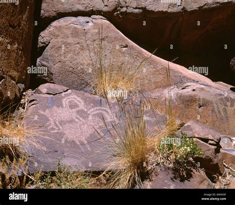 Ancient Petroglyph Rock Art Portraying Bighorn Sheep Mojave Desert