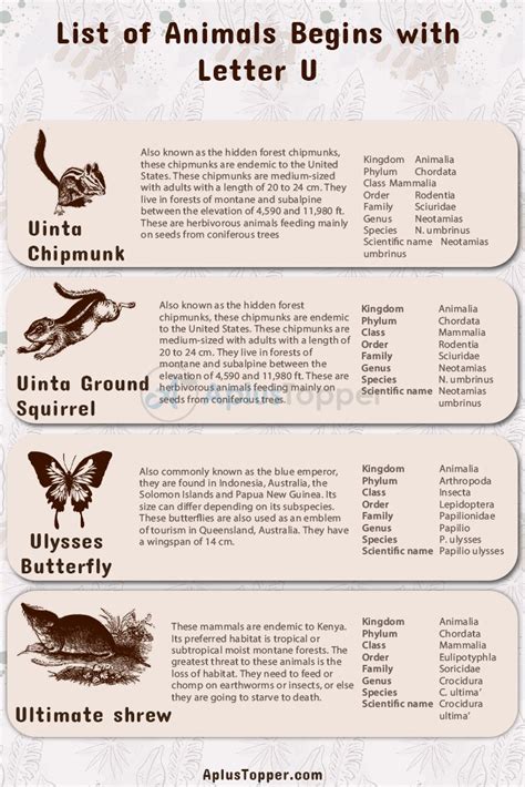 Animals That Start With U Listed With Pictures Alphabetical List Of