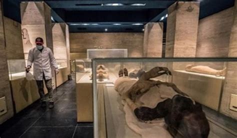 Royal Mummies Hall At Nmec Opens Its Doors To Visitors On Sunday Sis