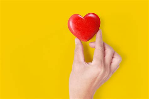 Tangan Memegang Konsep Jantung Merah Kesehatan Jantung Dan Donasi Foto