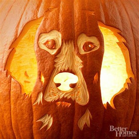 Would Love This Pumpkin Carving Pumpkin Carving Stencils Free Dog
