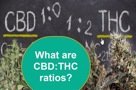 What Are Cbdthc Ratios And Their Benefits