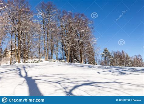 Winter Rural Landscape With Snowy Meadow And Trees Covered With Snow