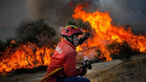 Essa página tem a intenção de alertar sobre os riscos de incêndios florestais e dar dicas de como podemos prevenir. Incêndios florestais: Muita atenção à sua Saúde