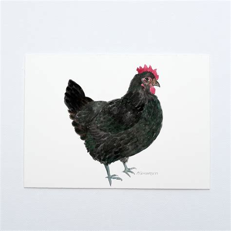 Australorp Chicken Original Watercolor Painting Yardia