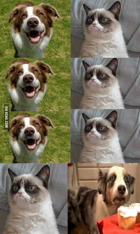 Grumpy Cat Meme Clean 9gag