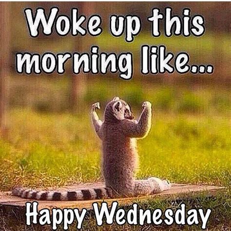 Good Morning Wednesday Funny Quotes Shortquotes Cc
