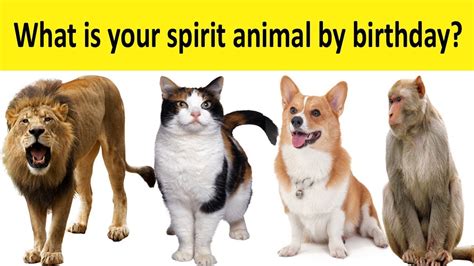 What Is Your Spirit Animal By Birthday Youtube
