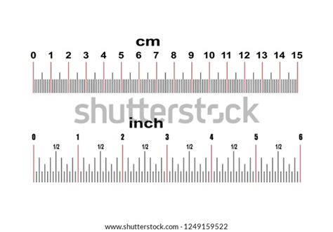 Ruler 15 Centimeters Ruler 6 Inches 库存矢量图（免版税）1249159522 Shutterstock