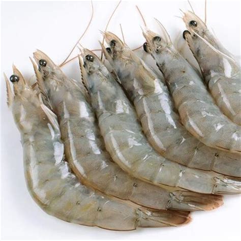 Big Size Frozen Broken Shrimp Vanamei Broken Prown United States Price