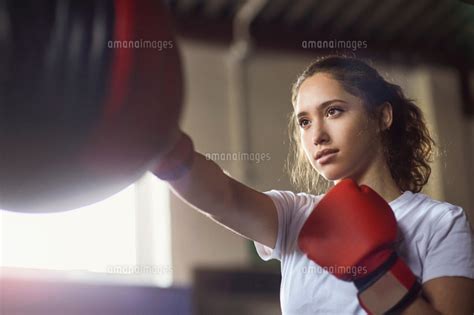 Young Female Boxer Punching Punch Bag In Gym 11015304575 の写真素材・イラスト素材
