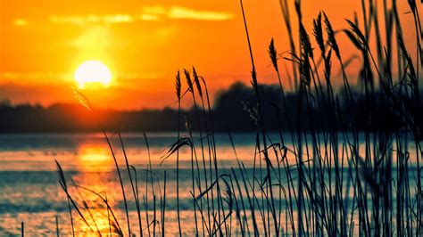 Wallpaper Sunlight Trees Forest Sunset Sea Water Reflection