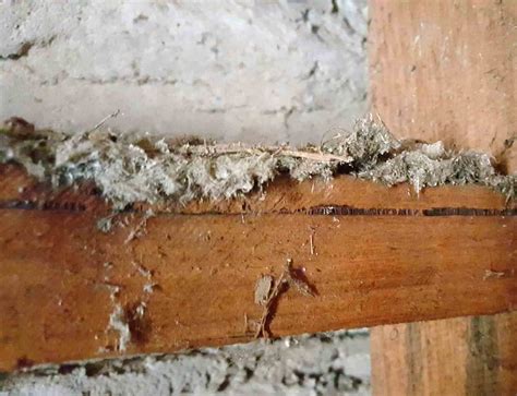 Mr. Fluffy Asbestos: Photos Educate Canberra Homeowners