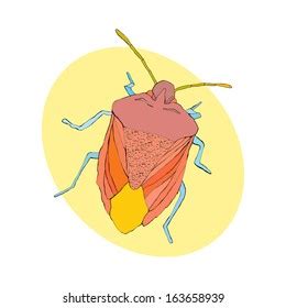 Bug Isolated Stock Vector Royalty Free Shutterstock