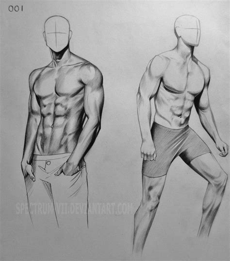 Anatomical Study 001 By Spectrum Vii On Deviantart Male Figure