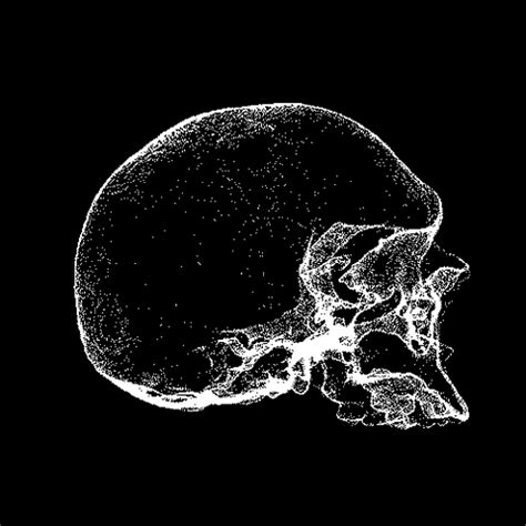 Great Skull Animated Gifs At Best Animations