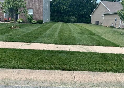 I will definitely give it a through soaking after it is planted. Expert Lawn Aeration & Overseeding in Fishers IN & Nearby