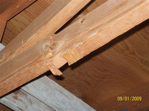 Repairing Roof Truss And Case Study Roof Truss Timber Repair