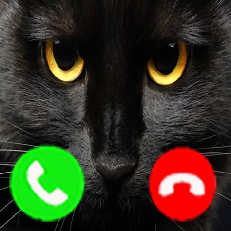 Scary Cat Fake Call Prank And Texting Funny Fake Black Cat Joke For