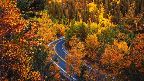 Aerial View Of Colorado Forest Road During Fall Hd Nature Wallpapers
