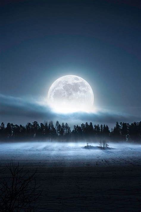 Find & download the most popular moon photos on freepik free for commercial use high quality images over 10 million stock photos. Mystical Night | Beautiful moon, Moon shadow, Pictures