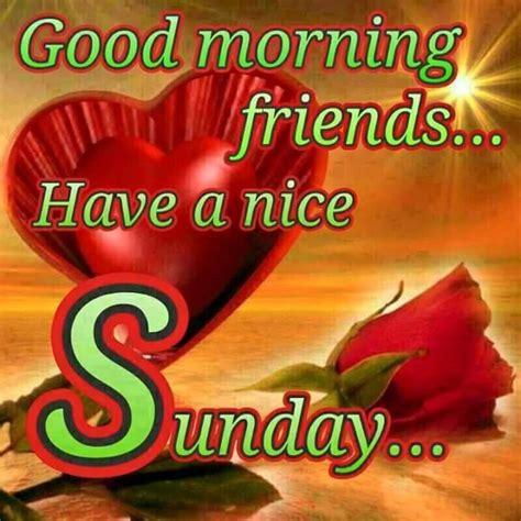 Good Morning Wishes On Sunday Pictures Images