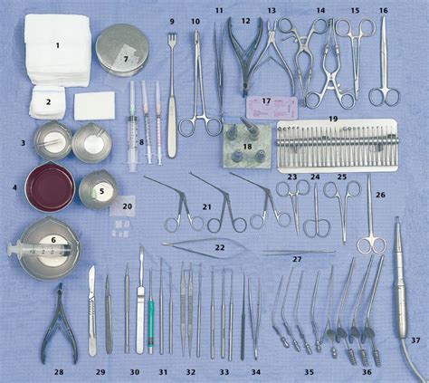 Collection 101 Wallpaper Oral Surgery Instruments Pictures And Names