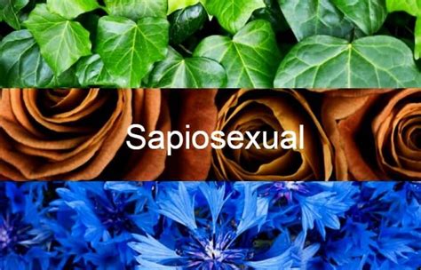 Sexually attracted to intellectual or mental qualities, rather than to the physical body. ¿Qué es Sapiosexual? » Su Definición y Significado 2020