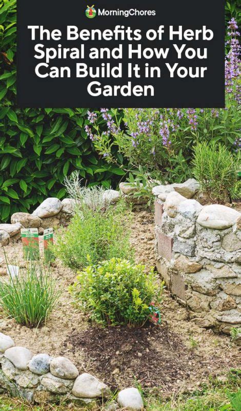 How To Build A Herb Spiral In Your Garden And Why You Should 2022