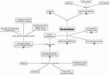 Photos of Theory Evolution Concept Map