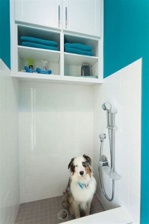 12 Genius Mudroom Dog Wash Station Ideas For Pet Lovers