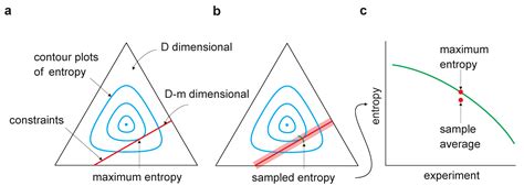 Entropy Free Full Text Estimation Bias In Maximum Entropy Models