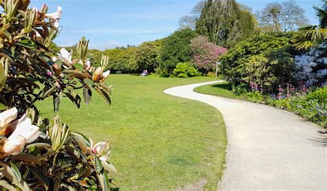 Lost Gardens Of Heligan Mevagissey Cornwall Guide