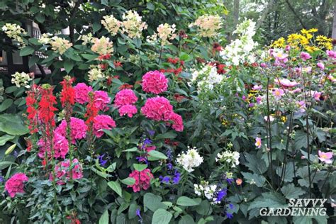 Cottage garden design pioneer gertrude jekyll's little book the beauties of a cottage garden hardly mentions fruit, and vegetables don't get a look in as far i can recall. A List of Cottage Garden Plants; The Ultimate Guide