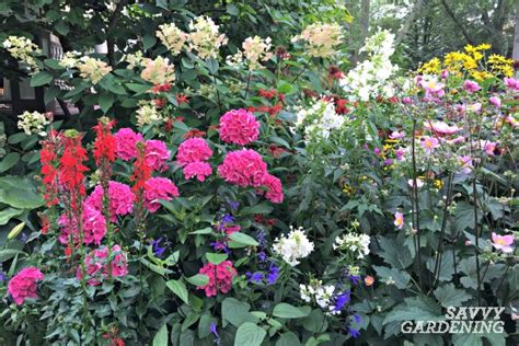 Check spelling or type a new query. A List of Cottage Garden Plants; The Ultimate Guide